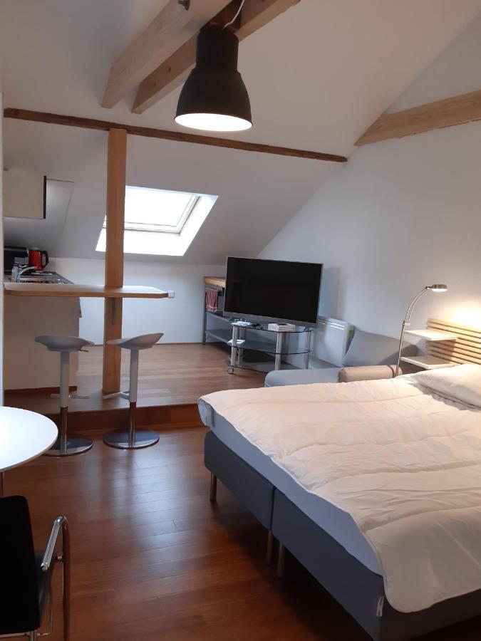Loft Studio Avec Charme Et Authenticite Altkirch Bagian luar foto